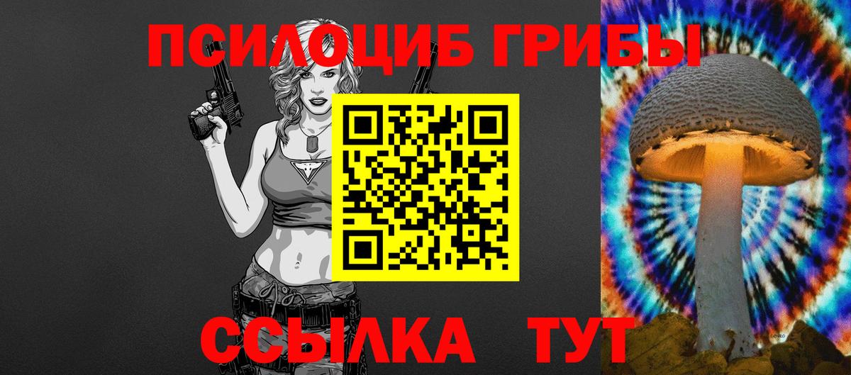 Галлюциногенные грибы Cubensis  Вход с VPN  Скопин 